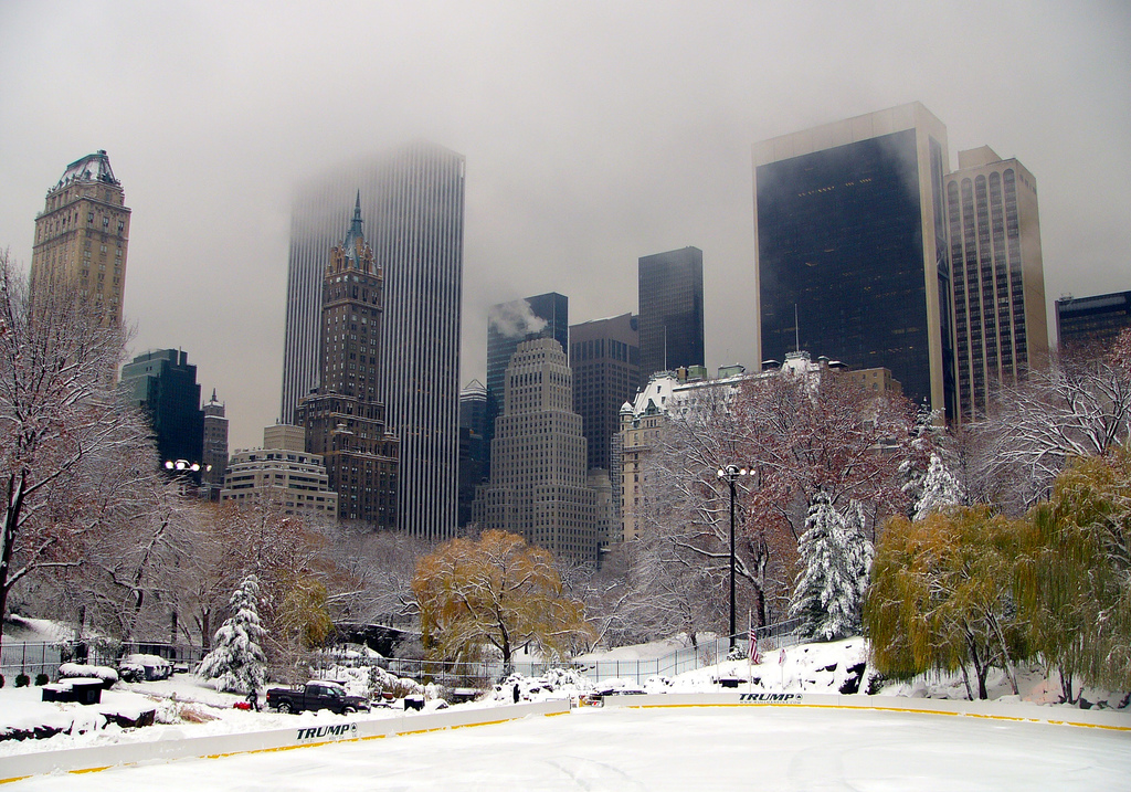 images of central park new york city. New York City launches winter